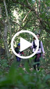 BIB:  <button type="button" onclick="openModal(28068193)" class="btn btn-primary btn-sm float-right" data-toggle="modal" data-target=".modal-high-quality">
                <i class="fa fa-download"></i> Download
                </button>